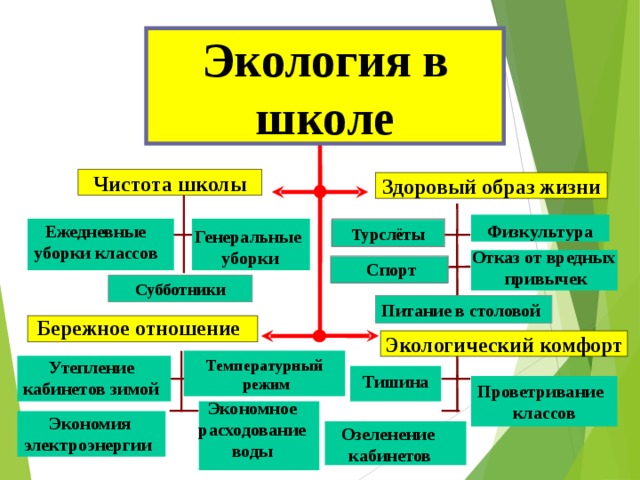 Экология здоровый образ жизни. Экология в школе. Предмет экология в школе. Образ жизни и экология. Современная экологическая школа.