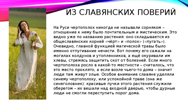 Поверье. Поверья на Руси. Поверья о волосах на Руси. Заговор на чертополох. Цветы старославянские поверья.