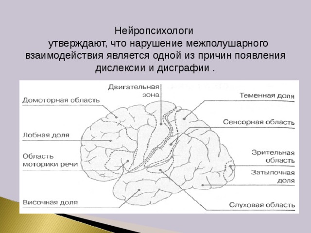 Нейропсихологические игры и упражнения для дошкольников презентация