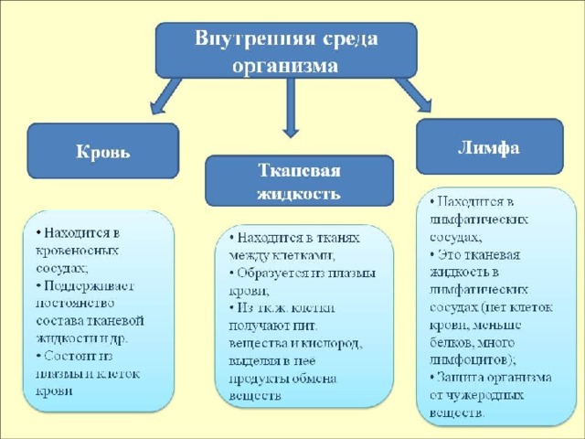 Внутренняя среда организации презентация