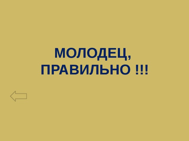Молодец,  Правильно !!! 