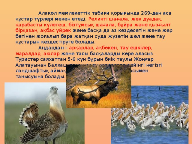 Сирек кездесетін және жойылып бара жатқан өсімдіктер мен жануарлардың түрлерін қорғау презентация