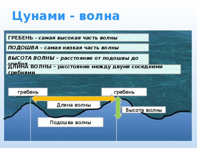 Цунами - волна ГРЕБЕНЬ – самая высокая часть волны ПОДОШВА – самая низкая часть волны ВЫСОТА ВОЛНЫ – расстояние от подошвы до гребня ДЛИНА ВОЛНЫ – расстояние между двумя соседними гребнями гребень гребень Длина волны Высота волны Подошва волны 