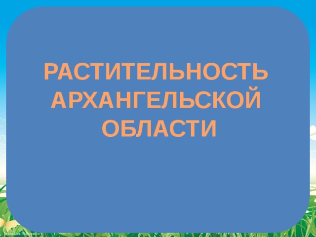 РАСТИТЕЛЬНОСТЬ АРХАНГЕЛЬСКОЙ ОБЛАСТИ 