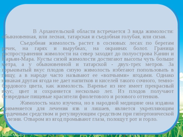  В Архангельской области встречается 3 вида жимолости: обыкновенная, или лесная, татарская и съедобная голубая, или сизая.   Съедобная жимолость растет в сосновых лесах по берегам речек, на гарях и вырубках, на окраинах болот. Граница распространения жимолости на север заходит до полуострова Канин и Нарьян-Мара. Кусты сизой жимолости достигают высоты чуть больше метра, а у обыкновенной и татарской - двух-трех метров. За горьковатый вкус плодов сизую жимолость избегают попользовать в пищу, а в народе часто называют ее «волчьими» ягодами. Однако никакая другая ягода не дает напитков и киселей такого сочного, темно-бордового цвета, как жимолость. Варенье из нее имеет прекрасный вкус, цвет и сохраняется несколько лет. Из плодов получают безвредные пищевые красители фиолетового и розового оттенков.   Жимолость мало изучена, но в народной медицине она издавна применяется для лечения язв и лишаев, является укрепляющим сердечным средством и регулирующим средством при гипертонической болезни. Отваром из ягод промывают глаза, полощут рот и горло. 