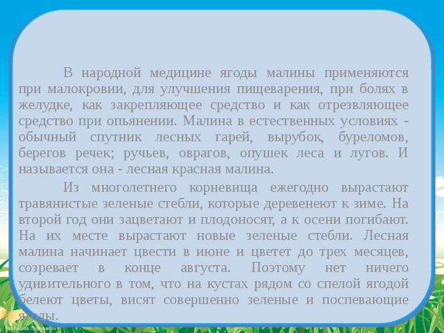   В народной медицине ягоды малины применяются при малокровии, для улучшения пищеварения, при болях в желудке, как закрепляющее средство и как отрезвляющее средство при опьянении. Малина в естественных условиях - обычный спутник лесных гарей, вырубок, буреломов, берегов речек; ручьев, оврагов, опушек леса и лугов. И называется она - лесная красная малина.   Из многолетнего корневища ежегодно вырастают травянистые зеленые стебли, которые деревенеют к зиме. На второй год они зацветают и плодоносят, а к осени погибают. На их месте вырастают новые зеленые стебли. Лесная малина начинает цвести в июне и цветет до трех месяцев, созревает в конце августа. Поэтому нет ничего удивительного в том, что на кустах рядом со спелой ягодой белеют цветы, висят совершенно зеленые и поспевающие ягоды. 