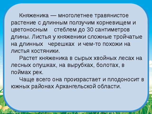  Княженика — многолетнее травянистое растение с длинным ползучим корневищем и цветоносным стеблем до 30 сантиметров длины. Листья у княженики сложные тройчатые на длинных черешках и чем-то похожи на листья костяники.  Растет княженика в сырых хвойных лесах на лесных опушках, на вырубках, болотах, в поймах рек.  Чаще всего она произрастает и плодоносит в южных районах Архангельской области. 