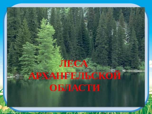 ЛЕСА АРХАНГЕЛЬСКОЙ ОБЛАСТИ 