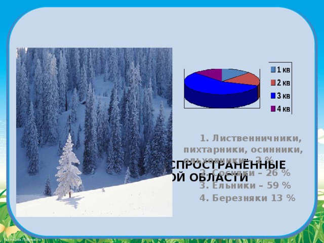  1. Лиственничники, пихтарники, осинники, ольховники – 2 %  2. Сосняки – 26 %  3. Ельники – 59 %  4. Березняки 13 % Ельники – самые распространённые леса в Архангельской области 