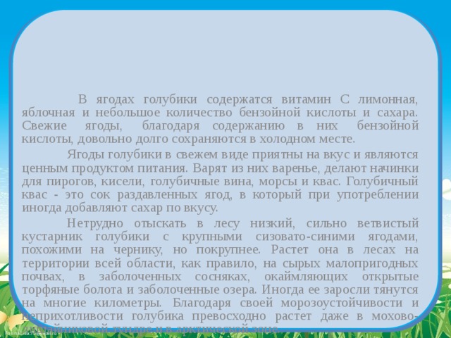    В ягодах голубики содержатся витамин С лимонная, яблочная и небольшое количество бензойной кислоты и сахара. Свежие ягоды, благодаря содержанию в них бензойной кислоты, довольно долго сохраняются в холодном месте.   Ягоды голубики в свежем виде приятны на вкус и являются ценным продуктом питания. Варят из них варенье, делают начинки для пирогов, кисели, голубичные вина, морсы и квас. Голубичный квас - это сок раздавленных ягод, в который при употреблении иногда добавляют сахар по вкусу.    Нетрудно отыскать в лесу низкий, сильно ветвистый кустарник голубики с крупными сизовато-синими ягодами, похожими на чернику, но покрупнее. Растет она в лесах на территории всей области, как правило, на сырых малопригодных почвах, в заболоченных сосняках, окаймляющих открытые торфяные болота и заболоченные озера. Иногда ее заросли тянутся на многие километры.  Благодаря своей морозоустойчивости и неприхотливости голубика превосходно растет даже в мохово-лишайниковой тундре и в арктической зоне. 