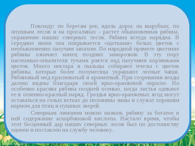   Повсюду: по берегам рек, вдоль дорог, на вырубках, по опушкам лесов и на прогалинах - растет обыкновенная рябина, украшение наших северных лесов. Рябина всегда нарядна. В середине июня она покрывается «щетками» белых цветов с необыкновенно пахучим запахом. По народной примете цветение рябины означает конец поздних заморозков. В эту пору насекомые-опылители тучами роятся над пахучими корзинками цветов. Много нектара и пыльцы собирают пчелы с цветов рябины, которые более полумесяца украшают лесные чащи. Рябиновый мед красноватый и ароматный. При созревании ягоды далеко видны благодаря своей ярко-оранжевой окраске. Но особенно красива рябина поздней осенью, когда листья одевают ее в огненно-красный наряд. Гроздья ярко-оранжевых ягод могут оставаться на голых ветках до половины зимы и служат хорошим кормом для птиц и пушных зверей.   Северным лимоном можно назвать рябину за богатое в ней содержание аскорбиновой кислоты. Настало время, чтобы этот бесценный дар наших северных лесов был по достоинству оценен и поставлен на службу человеку . 