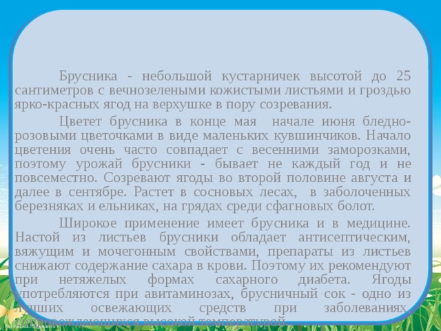   Брусника - небольшой кустарничек высотой до 25 сантиметров с вечнозелеными кожистыми листьями и гроздью ярко-красных ягод на верхушке в пору созревания.   Цветет брусника в конце мая начале июня бледно-розовыми цветочками в виде маленьких кувшинчиков. Начало цветения очень часто совпадает с весенними заморозками, поэтому урожай брусники - бывает не каждый год и не повсеместно. Созревают ягоды во второй половине августа и далее в сентябре. Растет в сосновых лесах, в заболоченных березняках и ельниках, на грядах среди сфагновых болот.   Широкое применение имеет брусника и в медицине. Настой из листьев брусники обладает антисептическим, вяжущим и мочегонным свойствами, препараты из листьев снижают содержание сахара в крови. Поэтому их рекомендуют при нетяжелых формах сахарного диабета. Ягоды употребляются при авитаминозах, брусничный сок - одно из лучших освежающих средств при заболеваниях, сопровождающихся высокой температурой. 