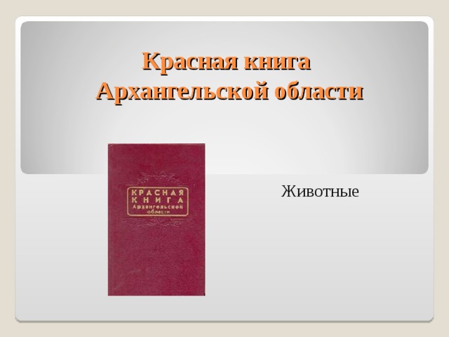 Красная книга архангельской области презентация