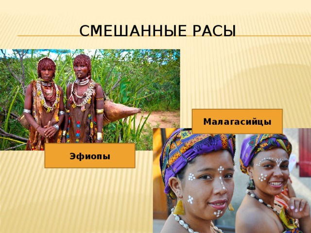 Смешанные расы Малагасийцы Эфиопы 