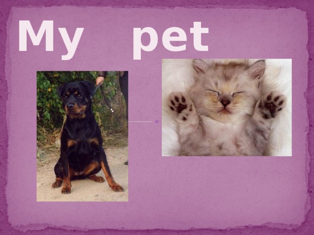 My pet  
