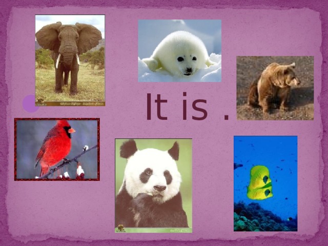  It is … 