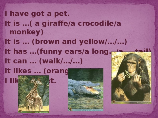I have got a pet. It is …( a giraffe/a crocodile/a monkey) It is … (brown and yellow/…/…) It has …(funny ears/a long…/a … tail) It can … (walk/…/…) It likes … (oranges/…/…) I like my pet. 