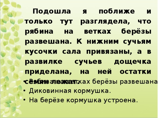 Подошла я поближе и только тут разглядела, что рябина на ветках берёзы развешана. К нижним сучьям кусочки сала привязаны, а в развилке сучьев дощечка приделана, на ней остатки семян лежат. Рябина на ветках берёзы развешана. Диковинная кормушка. На берёзе кормушка устроена. 