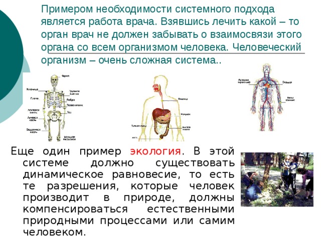 Презентация к уроку "Окружающий мир" 3 класс
