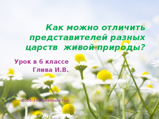 Как можно отличить представителей разных царств живой природы?   Урок в 6 классе Глива И.В. 2016-2017учебный год 