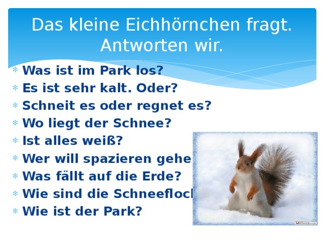 Das kleine Eichhörnchen fragt. Antworten wir. Was ist im Park los? Es ist sehr kalt. Oder? Schneit es oder regnet es? Wo liegt der Schnee? Ist alles wei ß? Wer will spazieren gehen? Was fällt auf die Erde? Wie sind die Schneeflocken? Wie ist der Park?  