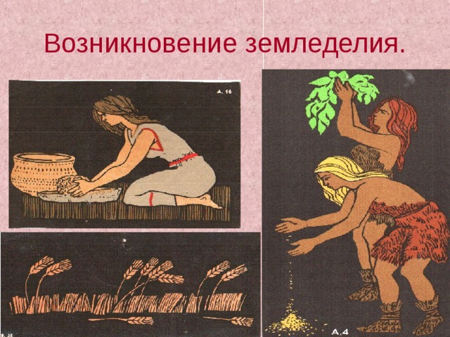 Возникновение земледелия. 