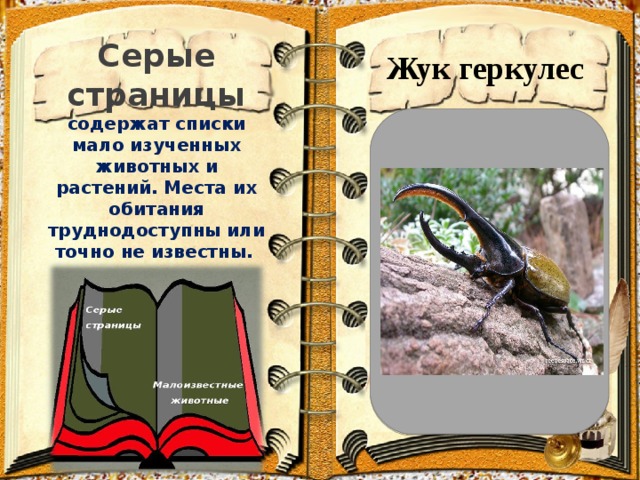 Красная книга серые страницы