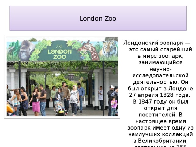 London zoo презентация