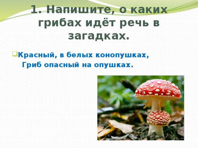 1. Напишите, о каких грибах идёт речь в загадках. Красный, в белых конопушках,  Гриб опасный на опушках. 