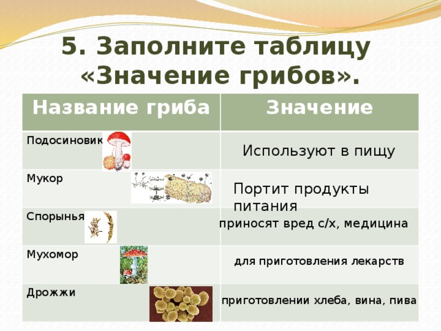 5. Заполните таблицу  «Значение грибов». Название гриба Значение Подосиновик Мукор Спорынья Мухомор Дрожжи Используют в пищу Портит продукты питания  приносят вред с/х, медицина для приготовления лекарств приготовлении хлеба, вина, пива  