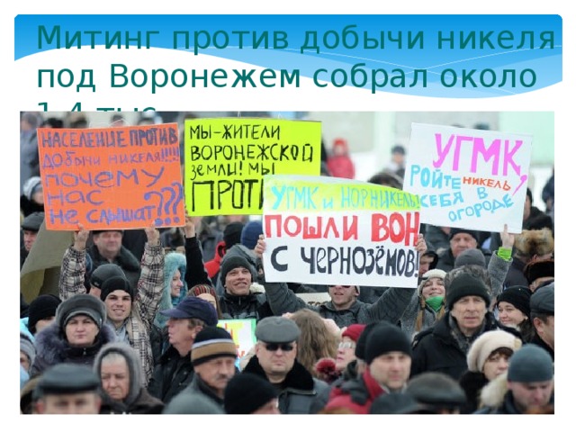Митинг против добычи никеля под Воронежем собрал около 1,4 тыс 