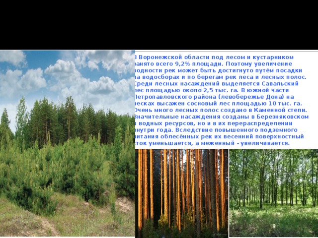 В Воронежской области под лесом и кустарником занято всего 9,2% площади. Поэтому увеличение водности рек может быть достигнуто путём посадки на водосборах и по берегам рек леса и лесных полос. Среди лесных насаждений выделяется Савальский лес площадью около 2,5 тыс. га. В южной части Петропавловского района (левобережье Дона) на песках высажен сосновый лес площадью 10 тыс. га. Очень много лесных полос создано в Каменной степи. Значительные насаждения созданы в Березняковском и водных ресурсов, но и в их перераспределении внутри года. Вследствие повышенного подземного питания облесённых рек их весенний поверхностный сток уменьшается, а меженный - увеличивается. 5 