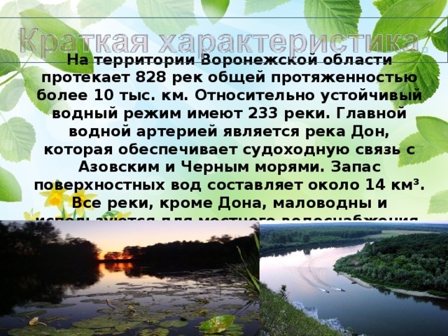 На территории Воронежской области протекает 828 рек общей протяженностью более 10 тыс. км. Относительно устойчивый водный режим имеют 233 реки. Главной водной артерией является река Дон, которая обеспечивает судоходную связь с Азовским и Черным морями. Запас поверхностных вод составляет около 14 км³. Все реки, кроме Дона, маловодны и используются для местного водоснабжения.   