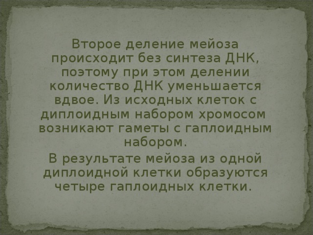   Второе деление мейоза происходит без синтеза ДНК, поэтому при этом делении количество ДНК уменьшается вдвое. Из исходных клеток с диплоидным набором хромосом  возникают гаметы с гаплоидным набором.  В результате мейоза из одной диплоидной клетки образуются четыре гаплоидных клетки. 
