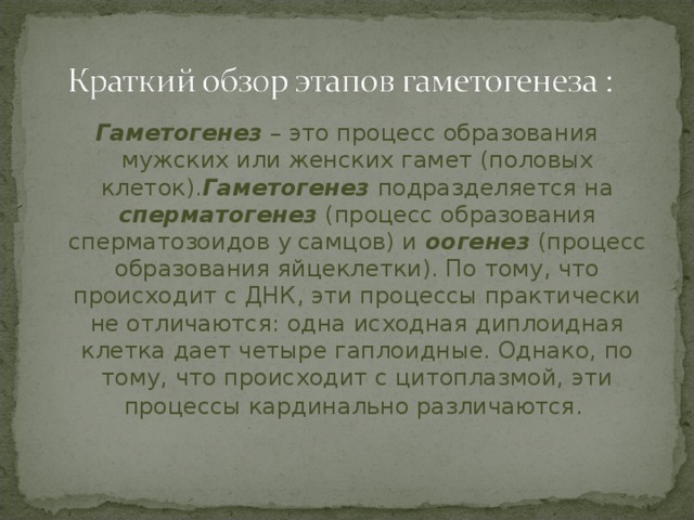 Гаметогенез – это процесс образования мужских или женских гамет (половых клеток). Гаметогенез подразделяется на сперматогенез (процесс образования сперматозоидов у самцов) и оогенез  (процесс образования яйцеклетки). По тому, что происходит с ДНК, эти процессы практически не отличаются: одна исходная диплоидная клетка дает четыре гаплоидные. Однако, по тому, что происходит с цитоплазмой, эти процессы кардинально различаются.  
