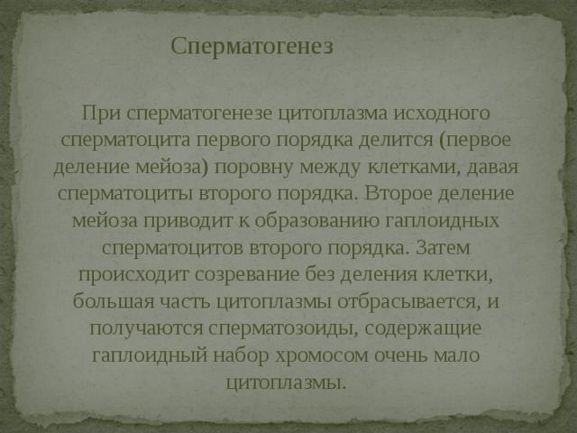 Сперматогенез При сперматогенезе цитоплазма исходного сперматоцита первого порядка делится (первое деление мейоза) поровну между клетками, давая сперматоциты второго порядка. Второе деление мейоза приводит к образованию гаплоидных сперматоцитов второго порядка. Затем происходит созревание без деления клетки, большая часть цитоплазмы отбрасывается, и получаются сперматозоиды, содержащие гаплоидный набор хромосом очень мало цитоплазмы. 