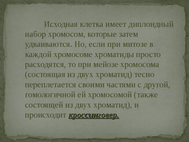 Исходная клетка имеет диплоидный набор хромосом, которые затем удваиваются. Но, если при митозе в каждой хромосоме хроматиды просто расходятся, то при мейозе хромосома (состоящая из двух хроматид) тесно  переплетается своими частями с другой, гомологичной ей хромосомой (также состоящей из двух хроматид), и происходит  кроссинговер. 