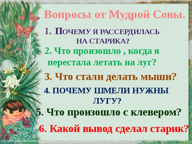 План в бианки сова