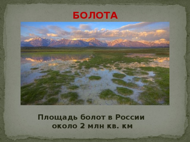 Болота Площадь болот в России  около 2 млн кв. км 