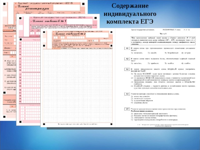 Содержание индивидуального