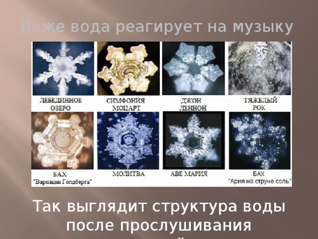 Даже вода реагирует на музыку Так выглядит структура воды после прослушивания определенной музыки 