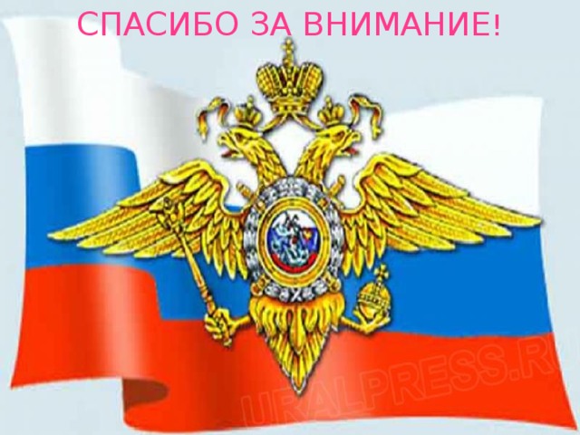 СПАСИБО ЗА ВНИМАНИЕ ! 