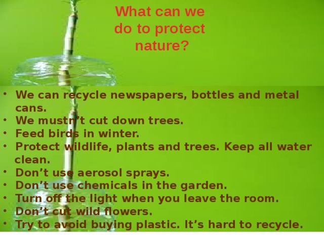 Nature's перевод. What can protect. How can we protect nature. What can people do protect nature?. What can you do to save nature.