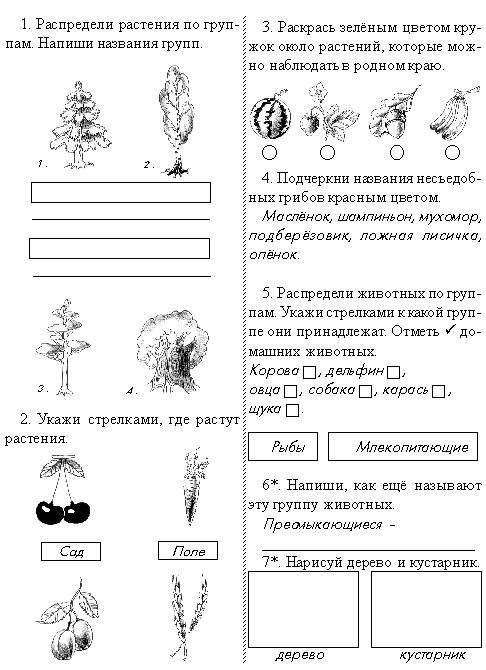 Задания по окр миру 1 класс для самостоятельной работы в картинках