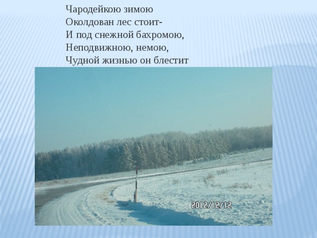 Чародейкою зимою Околдован лес стоит- И под снежной бахромою, Неподвижною, немою, Чудной жизнью он блестит  