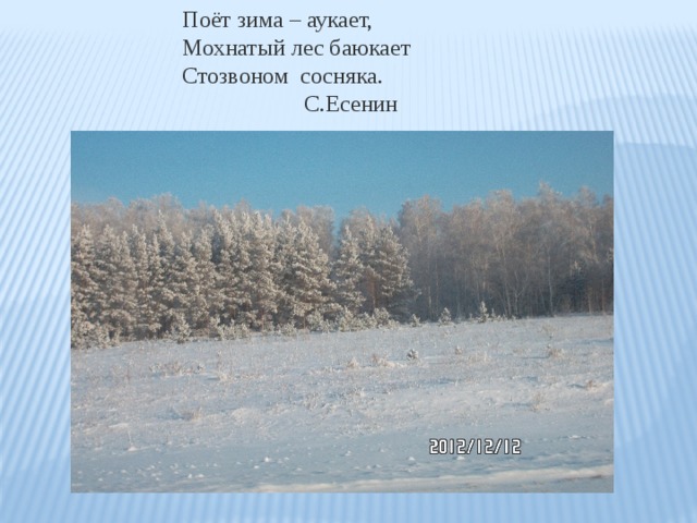 Поет зима аукает мохнатый лес баюкает стозвоном. Есенин лес аукает. Метель аукает. Поёт зимой мохнатый. Метель поет аукает.