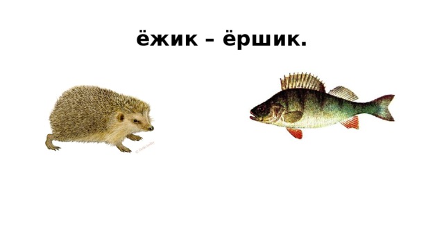 Схема слова ежики