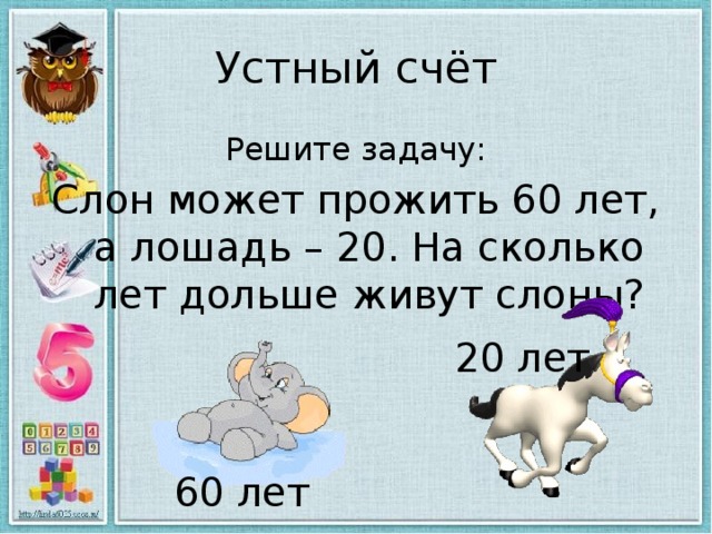 Сколько лет получилось. Задачки про лошадей. Сколько лет может прожить лошадь. Слон может прожить 60 лет.а лошадь 20. Задачи про лошадей первый класс.