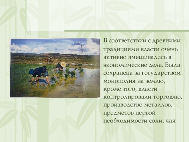  В соответствии с древними традициями власти очень активно вмешивались в экономические дела. Была сохранена за государством монополия на землю, кроме того, власти контролировали торговлю, производство металлов, предметов первой необходимости соли, чая 