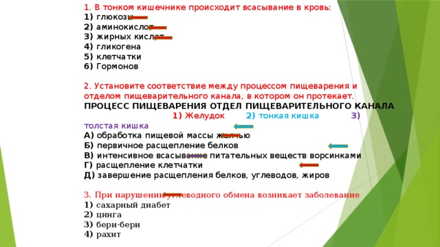 1. В тонком кишечнике происходит всасывание в кровь: 1) глюкозы 2) аминокислот 3) жирных кислот 4) гликогена 5) клетчатки 6) Гормонов 2. Установите соответствие между процессом пищеварения и отделом пищеварительного канала, в котором он протекает. ПРОЦЕСС ПИЩЕВАРЕНИЯ ОТДЕЛ ПИЩЕВАРИТЕЛЬНОГО КАНАЛА  1) Желудок 2) тонкая кишка 3) толстая кишка А) обработка пищевой массы желчью Б) первичное расщепление белков В) интенсивное всасывание питательных веществ ворсинками Г) расщепление клетчатки Д) завершение расщепления белков, углеводов, жиров 3. При нарушении углеводного обмена возникает заболевание 1) сахарный диабет 2) цинга 3) беpи-беpи 4) рахит 